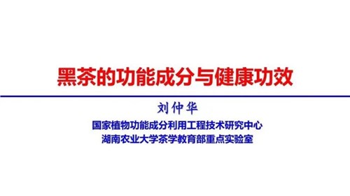 茶的功能成分與健康功效 | 茶、飲茶與健康