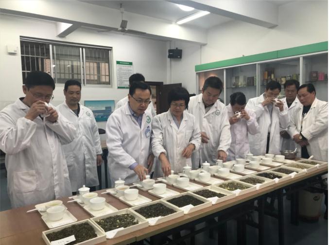 瀟湘茶業(yè)開(kāi)展花茶審評(píng)和座談會(huì)，劉仲華院士等專(zhuān)家共謀花茶產(chǎn)業(yè)發(fā)展