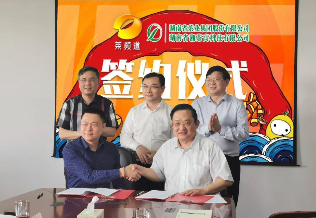 院士見(jiàn)證，輕輕茶發(fā)力品牌建設(shè)，與茶頻道達(dá)成深度合作
