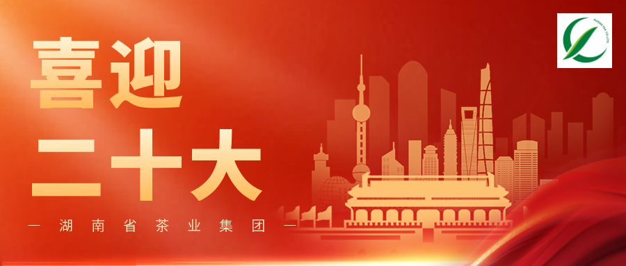 湖南省茶業(yè)集團(tuán)組織收看中國共產(chǎn)黨第二十次全國代表大會開幕會