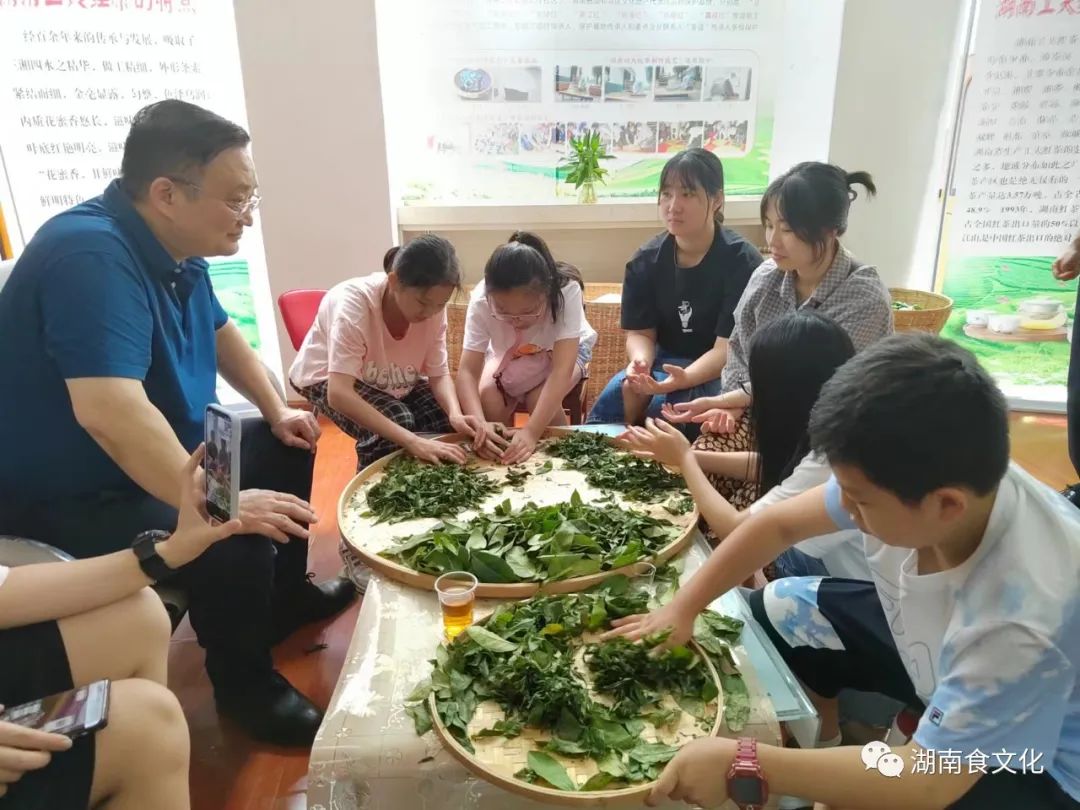 原載人民日?qǐng)?bào)“人民視點(diǎn)”茶葉是怎樣做出來(lái)的？湖南大、中、小學(xué)生體驗(yàn)湖南工夫紅茶制作